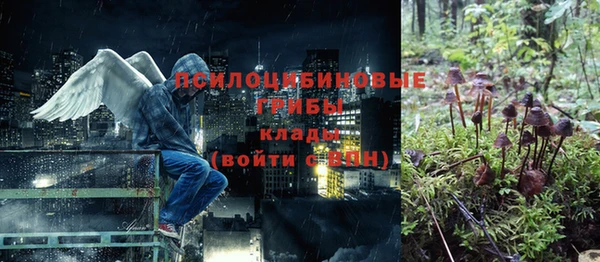 не бодяженный Нефтегорск