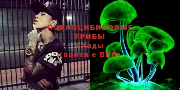 не бодяженный Нефтегорск