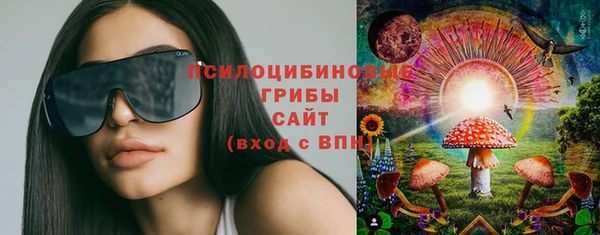 не бодяженный Нефтегорск