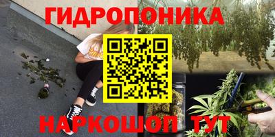 крисы Азнакаево