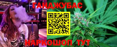 крисы Абакан