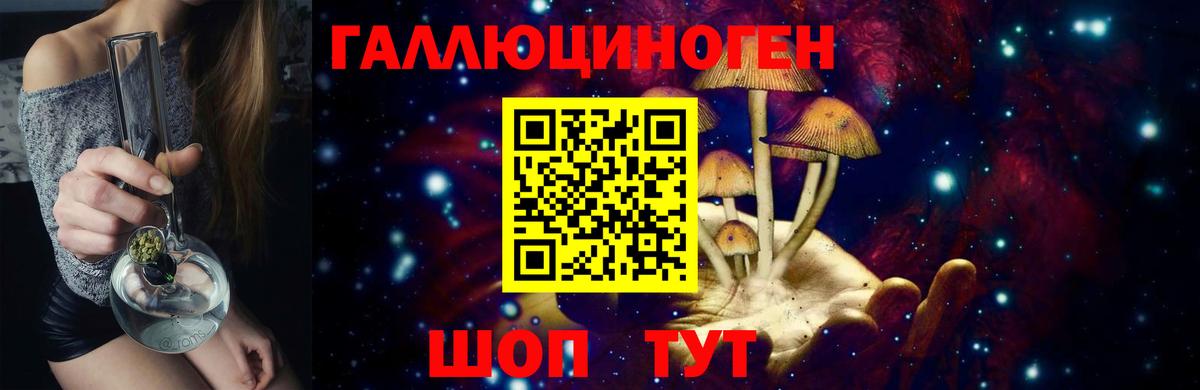 Псилоцибиновые грибы Cubensis Лысьва